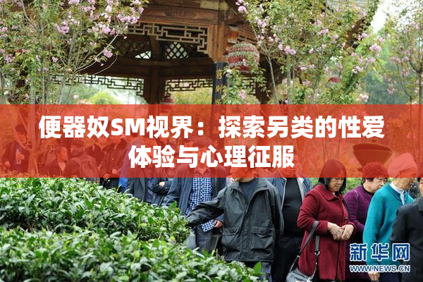 便器奴SM视界：探索另类的性爱体验与心理征服