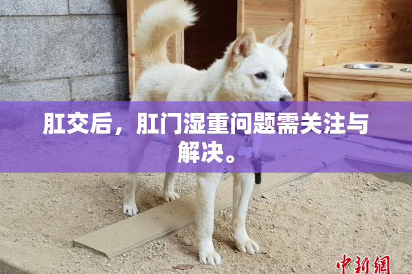 肛交后，肛门湿重问题需关注与解决。