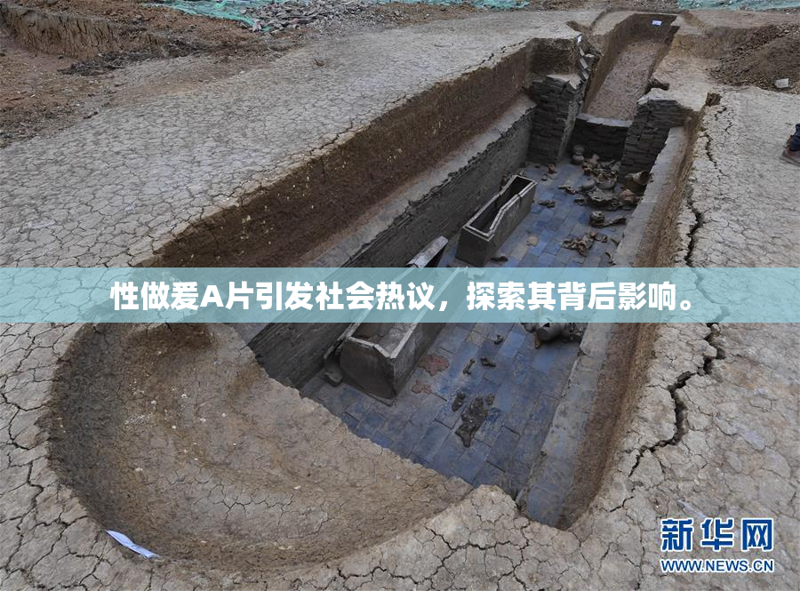 性做爰A片引发社会热议，探索其背后影响。