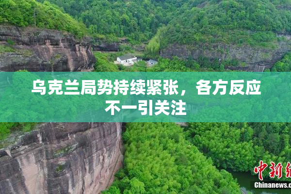 乌克兰局势持续紧张，各方反应不一引关注