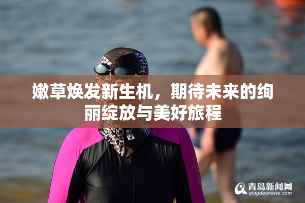 嫩草焕发新生机，期待未来的绚丽绽放与美好旅程