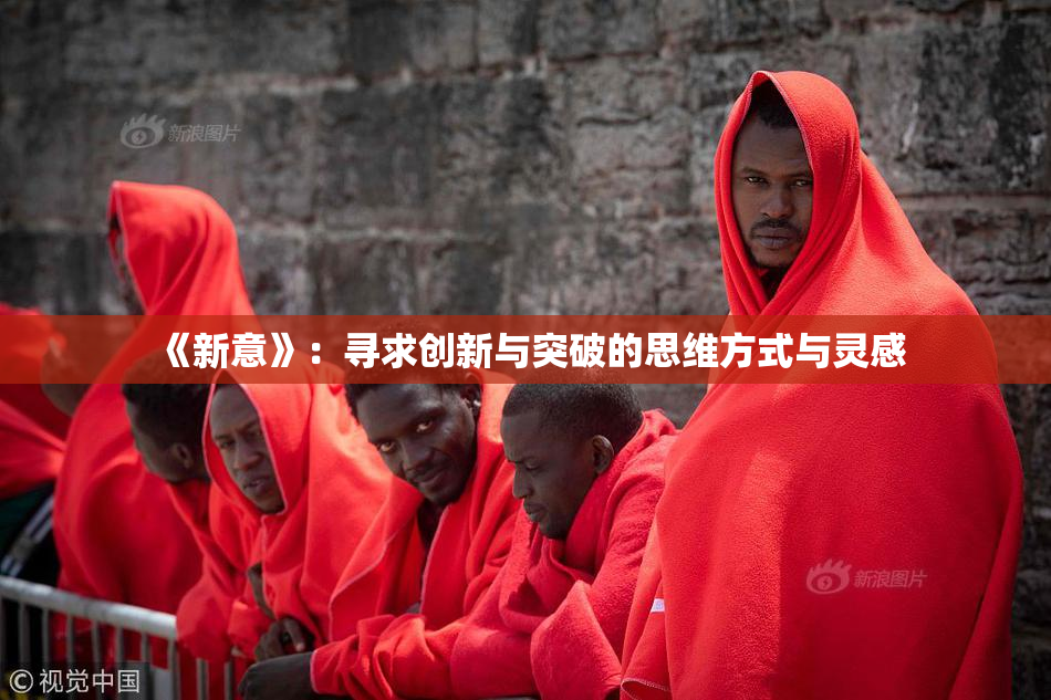 《新意》：寻求创新与突破的思维方式与灵感