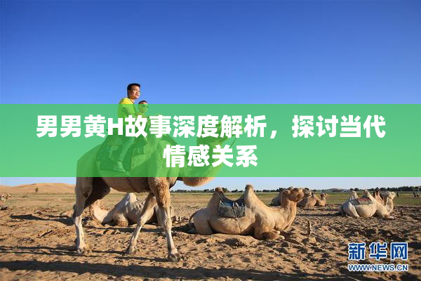 男男黄H故事深度解析，探讨当代情感关系