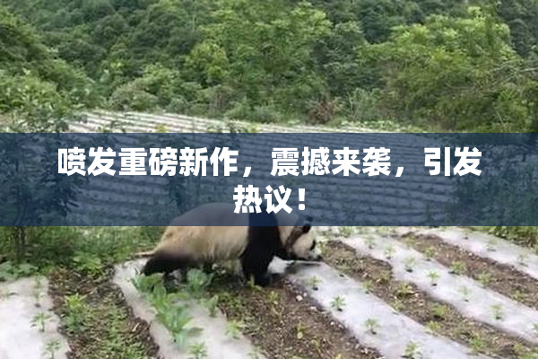 喷发重磅新作，震撼来袭，引发热议！