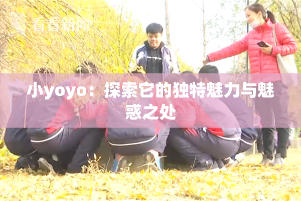 小yoyo：探索它的独特魅力与魅惑之处