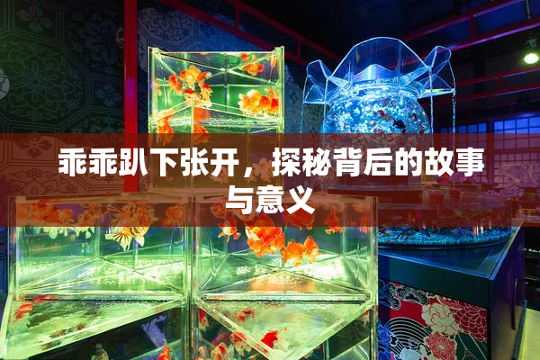乖乖趴下张开，探秘背后的故事与意义