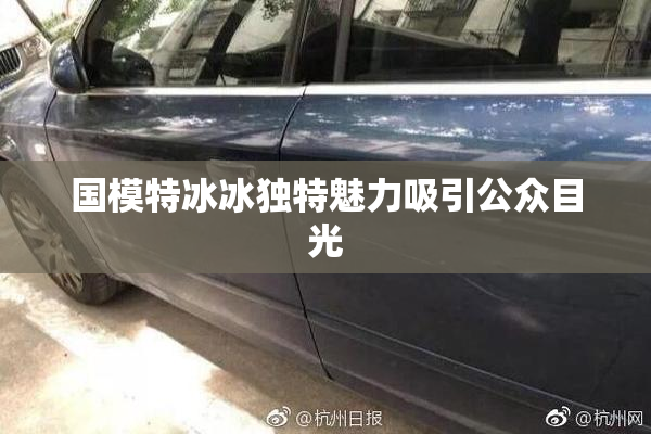 国模特冰冰独特魅力吸引公众目光