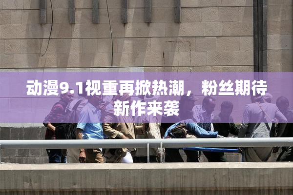 动漫9.1视重再掀热潮，粉丝期待新作来袭