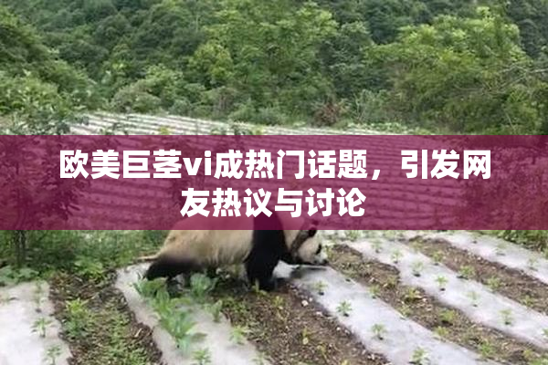 欧美巨茎vi成热门话题，引发网友热议与讨论