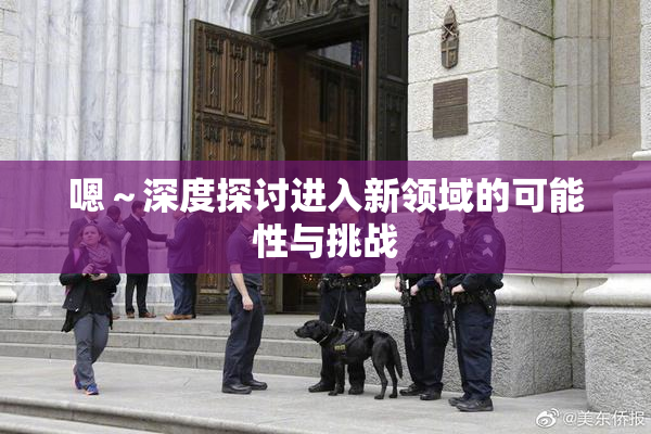 嗯～深度探讨进入新领域的可能性与挑战