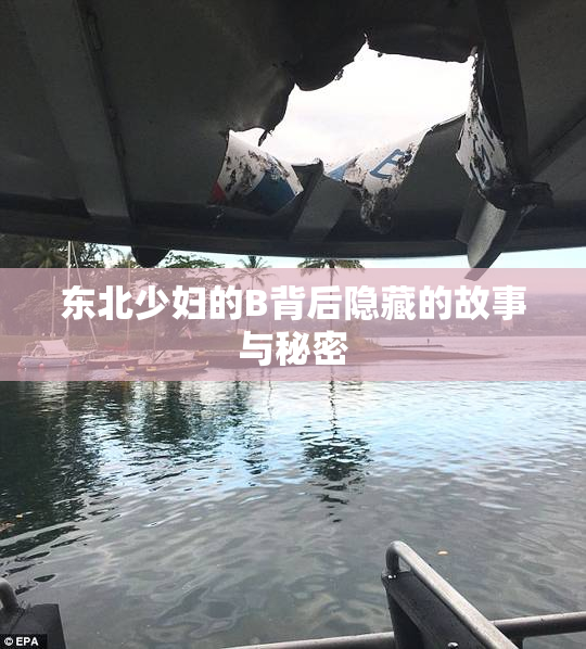 东北少妇的B背后隐藏的故事与秘密
