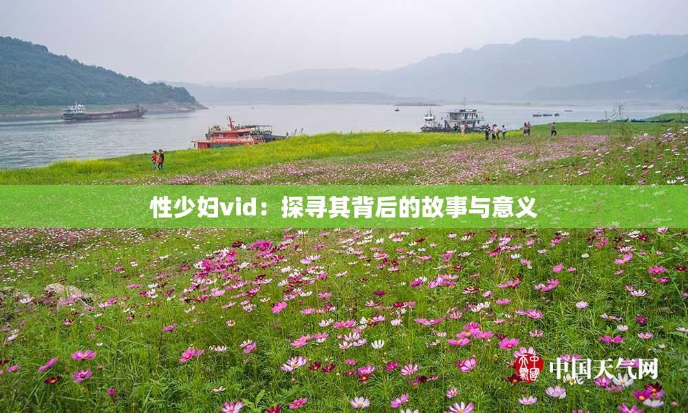 性少妇vid：探寻其背后的故事与意义