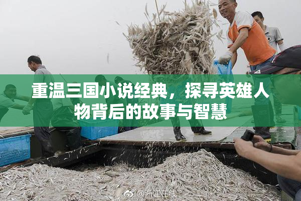 重温三国小说经典，探寻英雄人物背后的故事与智慧