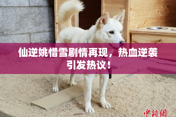 仙逆姚惜雪剧情再现，热血逆袭引发热议！