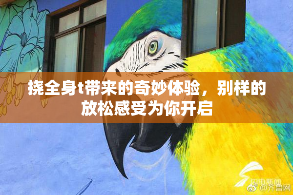 挠全身t带来的奇妙体验，别样的放松感受为你开启