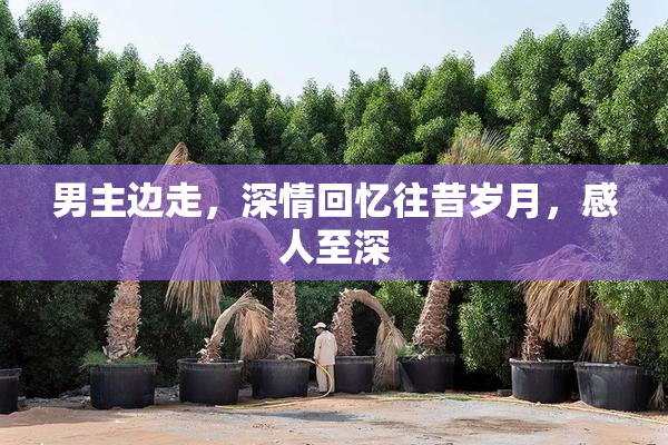 男主边走，深情回忆往昔岁月，感人至深