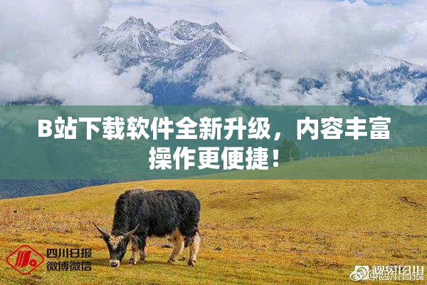 B站下载软件全新升级，内容丰富操作更便捷！