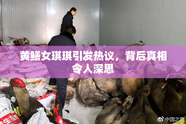 黄鳝女琪琪引发热议，背后真相令人深思