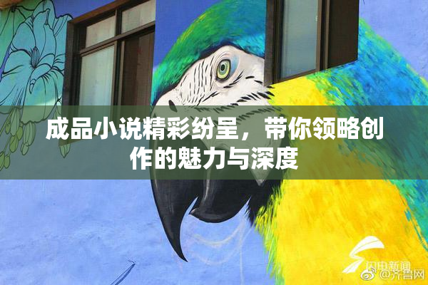 成品小说精彩纷呈，带你领略创作的魅力与深度