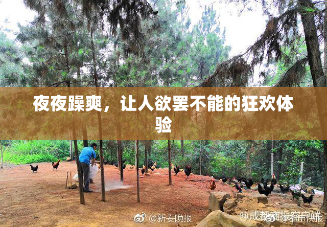 夜夜躁爽，让人欲罢不能的狂欢体验