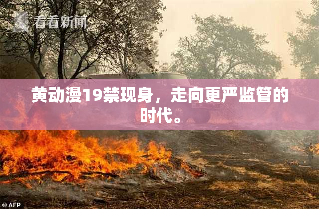 黄动漫19禁现身，走向更严监管的时代。