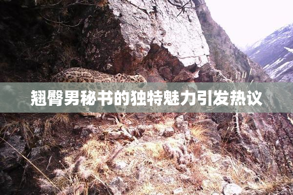 翘臀男秘书的独特魅力引发热议