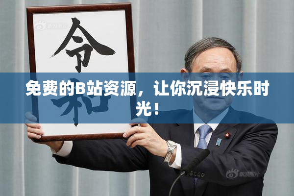 免费的B站资源，让你沉浸快乐时光！