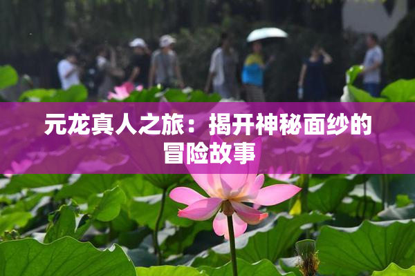 元龙真人之旅：揭开神秘面纱的冒险故事