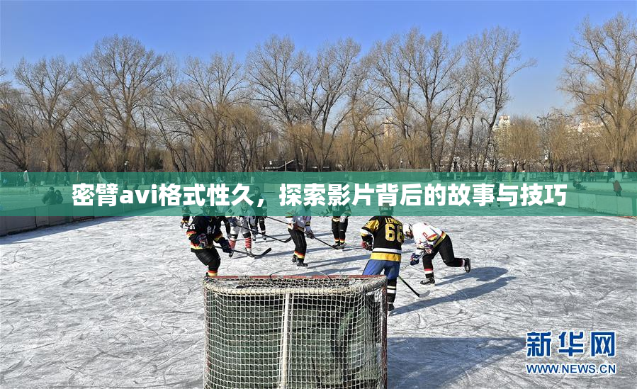密臂avi格式性久，探索影片背后的故事与技巧