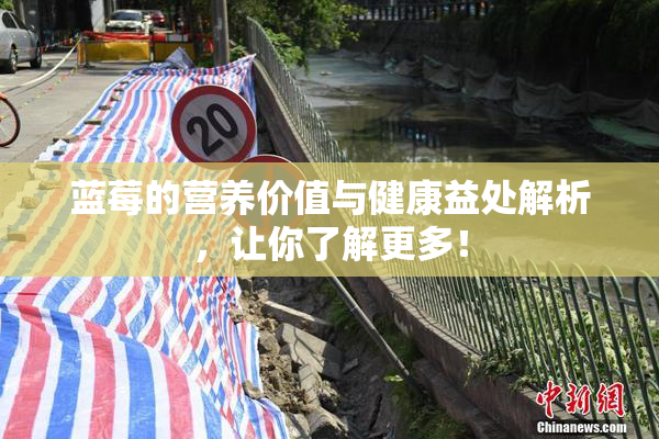 蓝莓的营养价值与健康益处解析，让你了解更多！