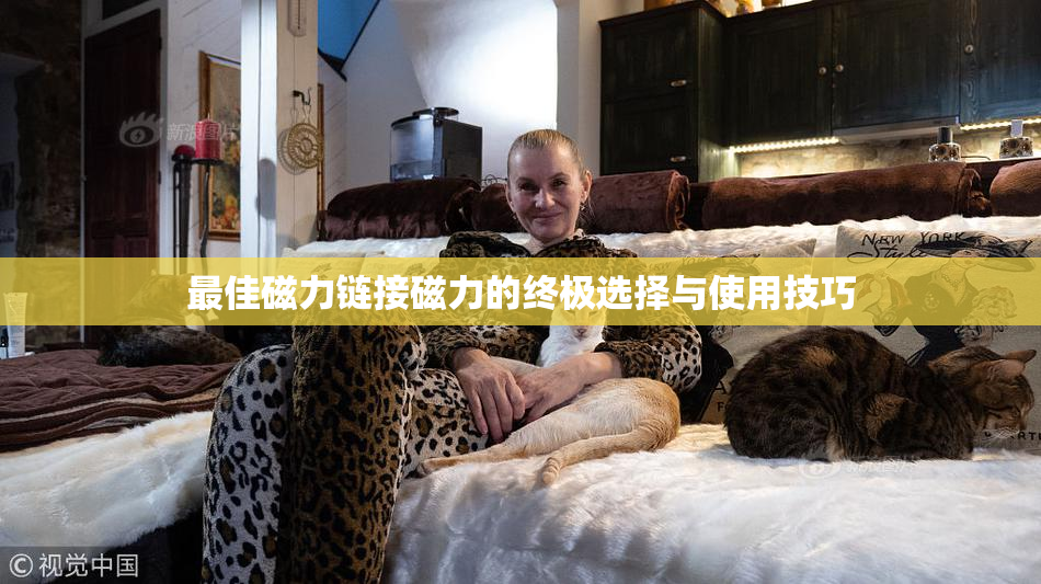 最佳磁力链接磁力的终极选择与使用技巧