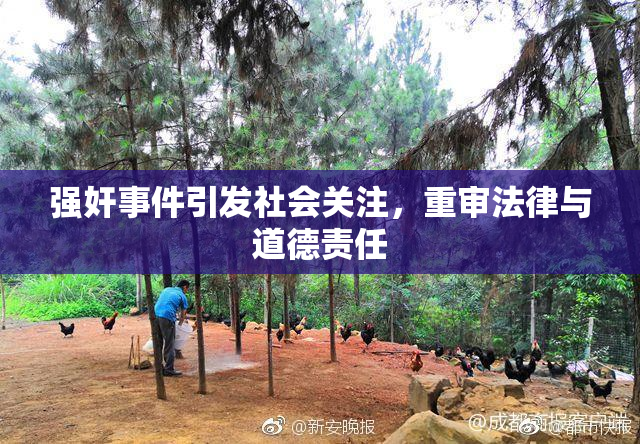 强奸事件引发社会关注，重审法律与道德责任