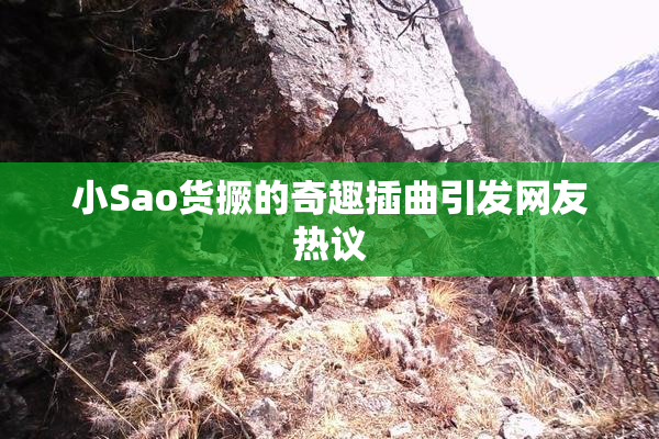小Sao货撅的奇趣插曲引发网友热议