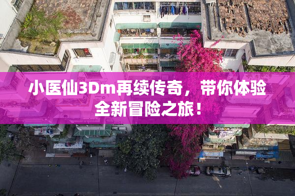 小医仙3Dm再续传奇，带你体验全新冒险之旅！