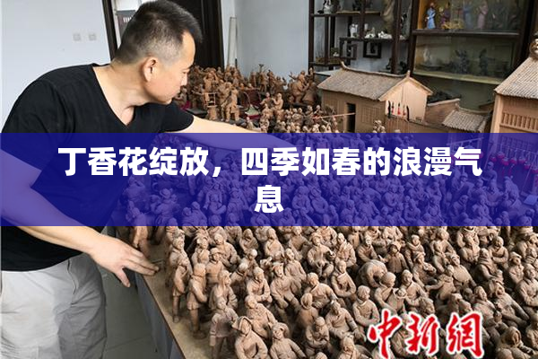 丁香花绽放，四季如春的浪漫气息