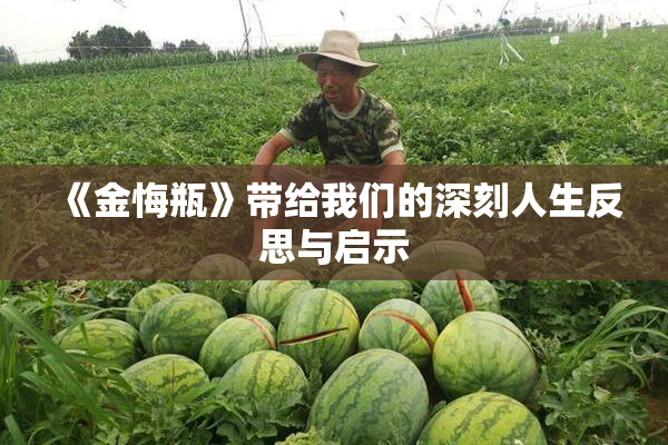 《金悔瓶》带给我们的深刻人生反思与启示