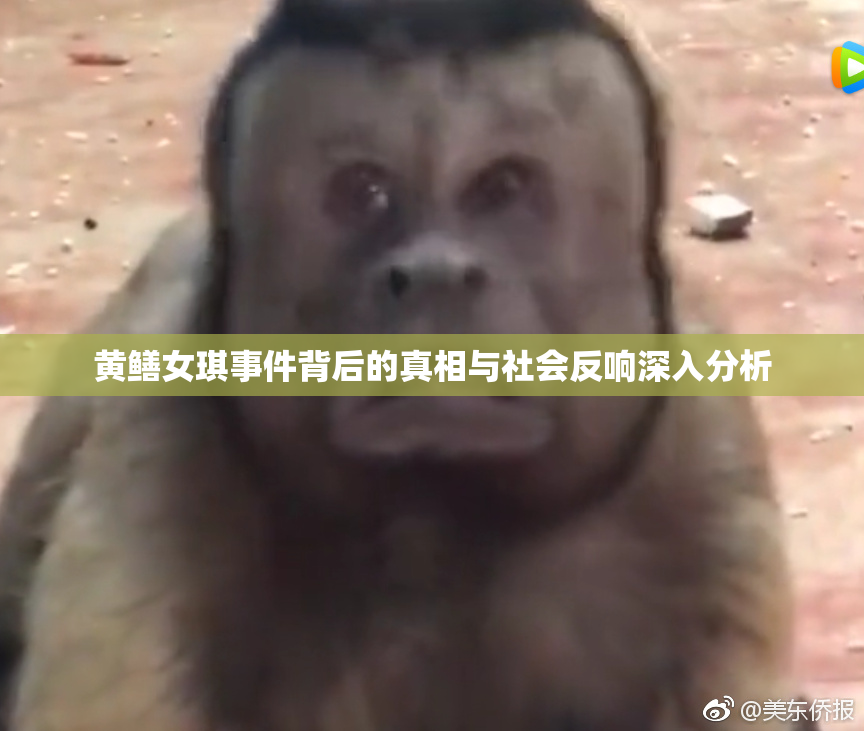 黄鳝女琪事件背后的真相与社会反响深入分析