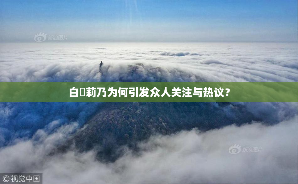 白咲莉乃为何引发众人关注与热议？