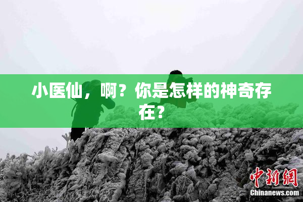 小医仙，啊？你是怎样的神奇存在？
