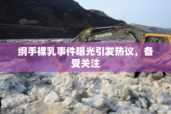 纲手裸乳事件曝光引发热议，备受关注