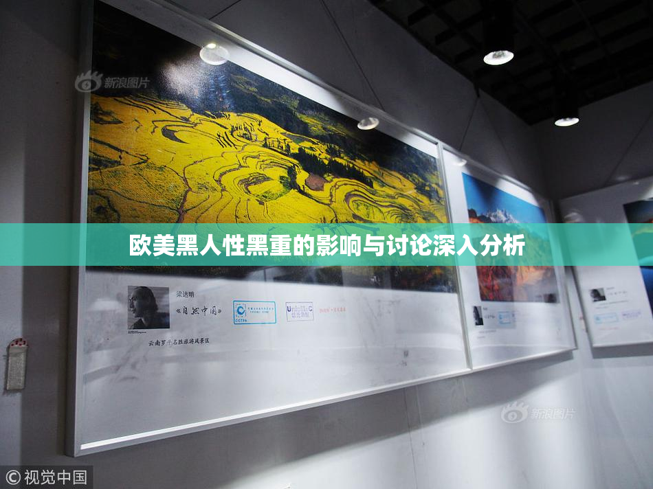 欧美黑人性黑重的影响与讨论深入分析