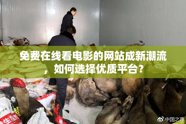 免费在线看电影的网站成新潮流，如何选择优质平台？
