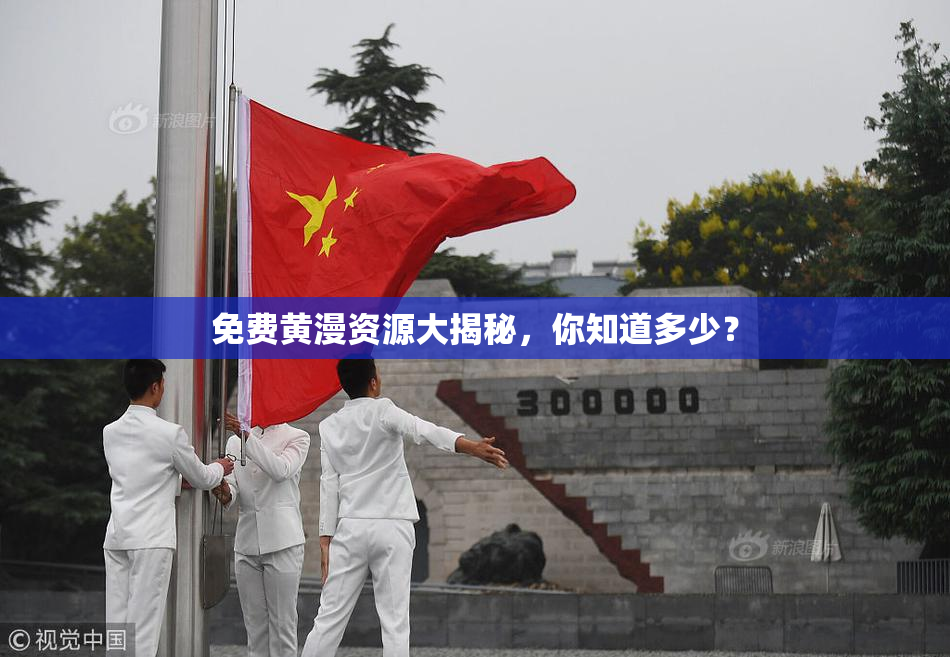 免费黄漫资源大揭秘，你知道多少？