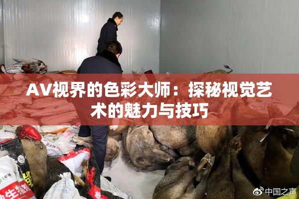 AV视界的色彩大师：探秘视觉艺术的魅力与技巧