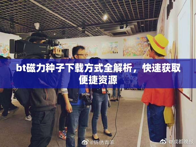 bt磁力种子下载方式全解析，快速获取便捷资源