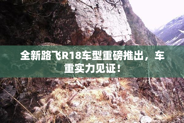 全新路飞R18车型重磅推出，车重实力见证！