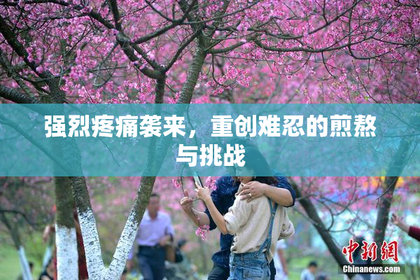 强烈疼痛袭来，重创难忍的煎熬与挑战