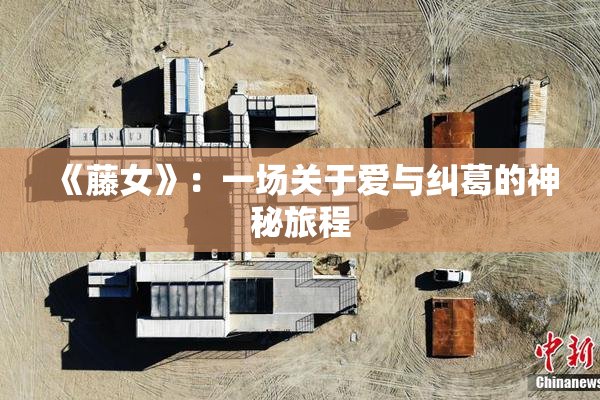 《藤女》：一场关于爱与纠葛的神秘旅程