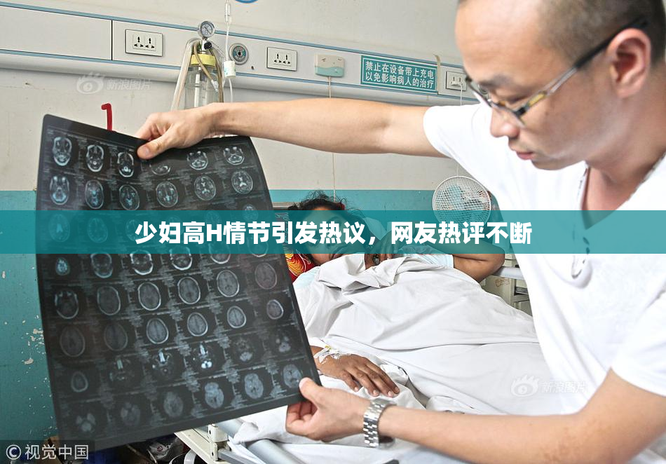 少妇高H情节引发热议，网友热评不断