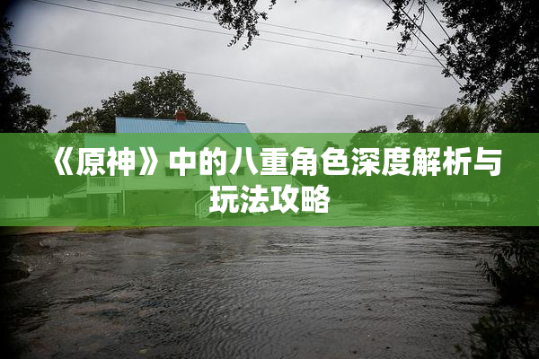 《原神》中的八重角色深度解析与玩法攻略